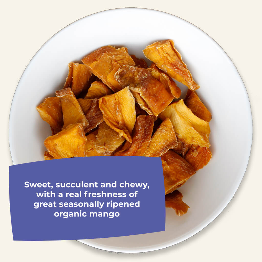 Organic Gently Dried Mango Slices-1