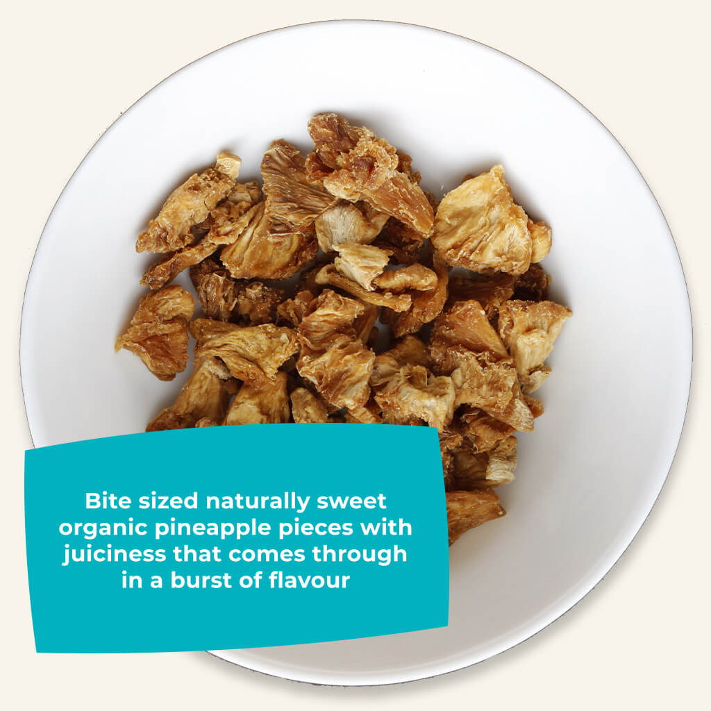 Organic Gently Dried Pineapple Chunks-1
