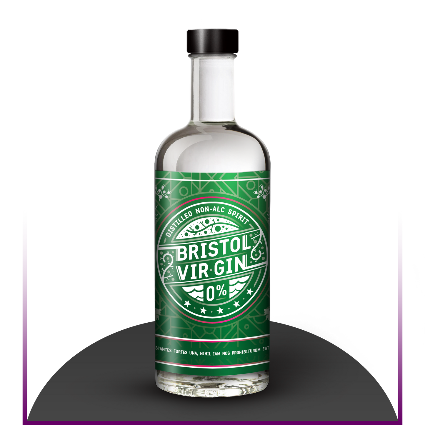 Bristol Vir-Gin 70cl-0