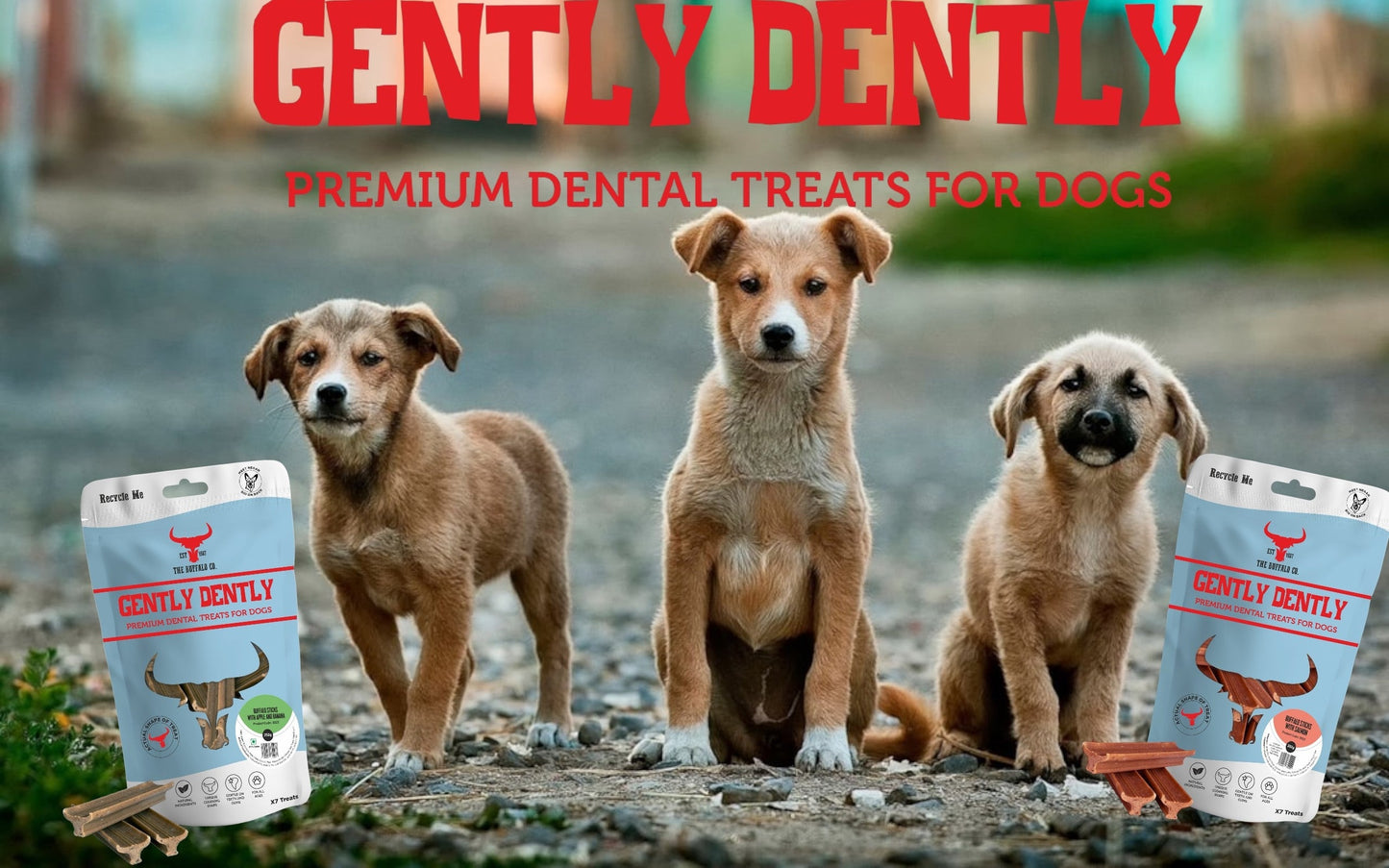 Gently Dently- Fresh Breath Mint Dental Treats for Dogs 175g-4