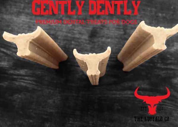 Gently Dently- Fresh Breath Mint Dental Treats for Dogs 175g-3