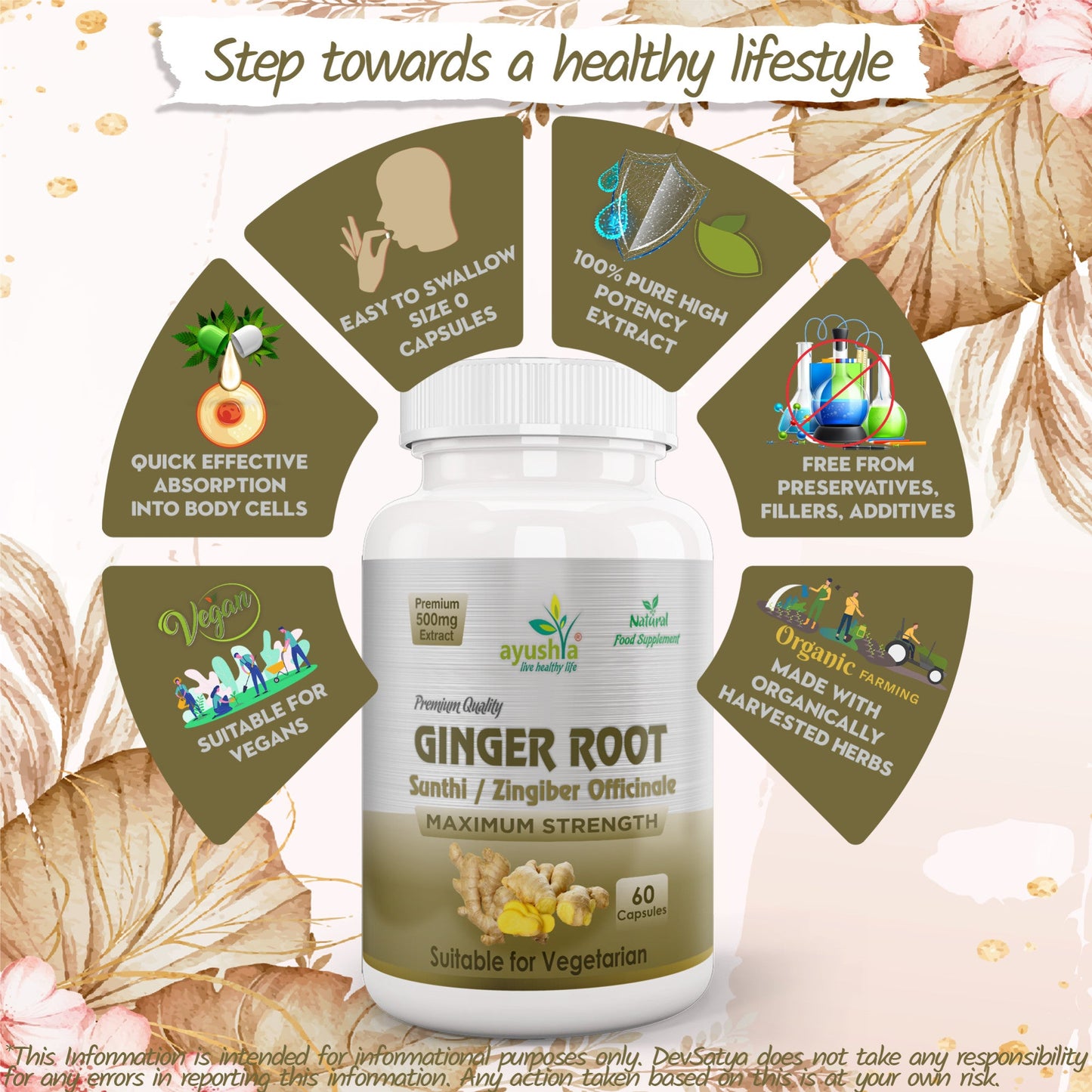 Ginger Root (Sunthi) Capsule-4