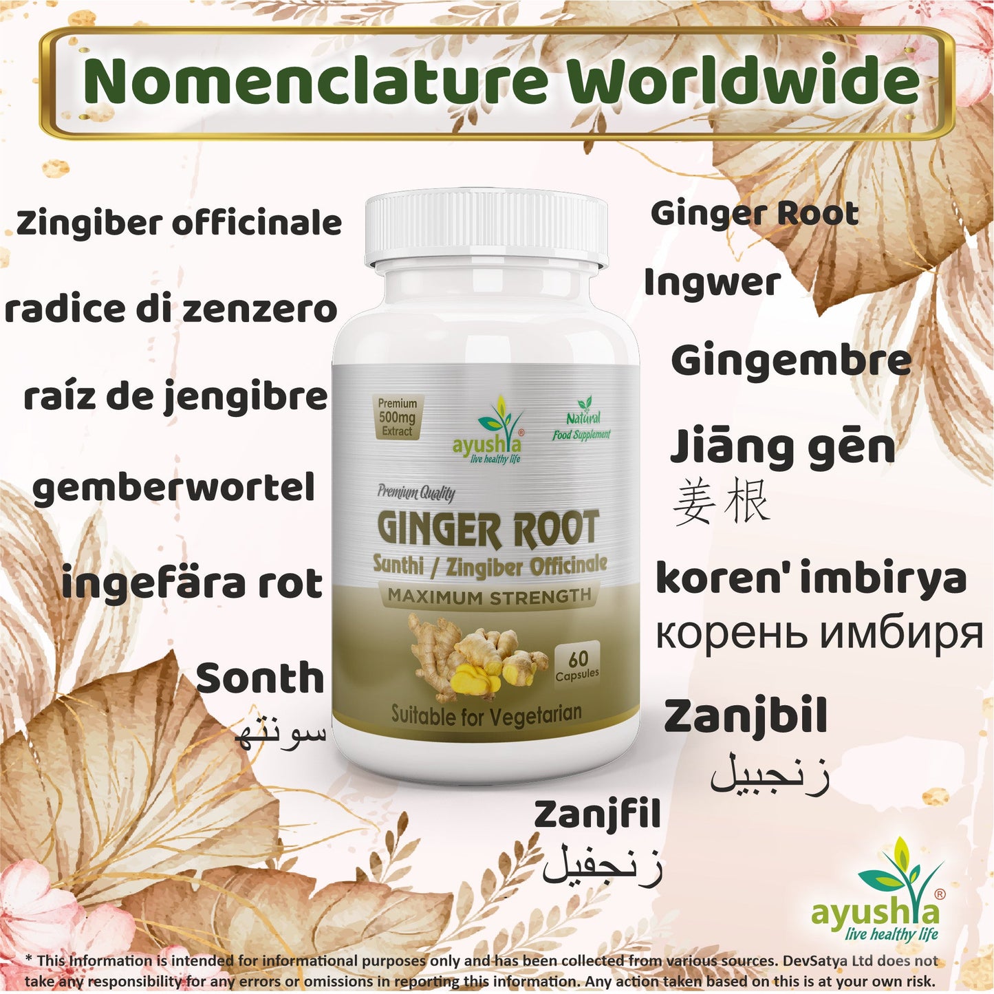 Ginger Root (Sunthi) Capsule-2