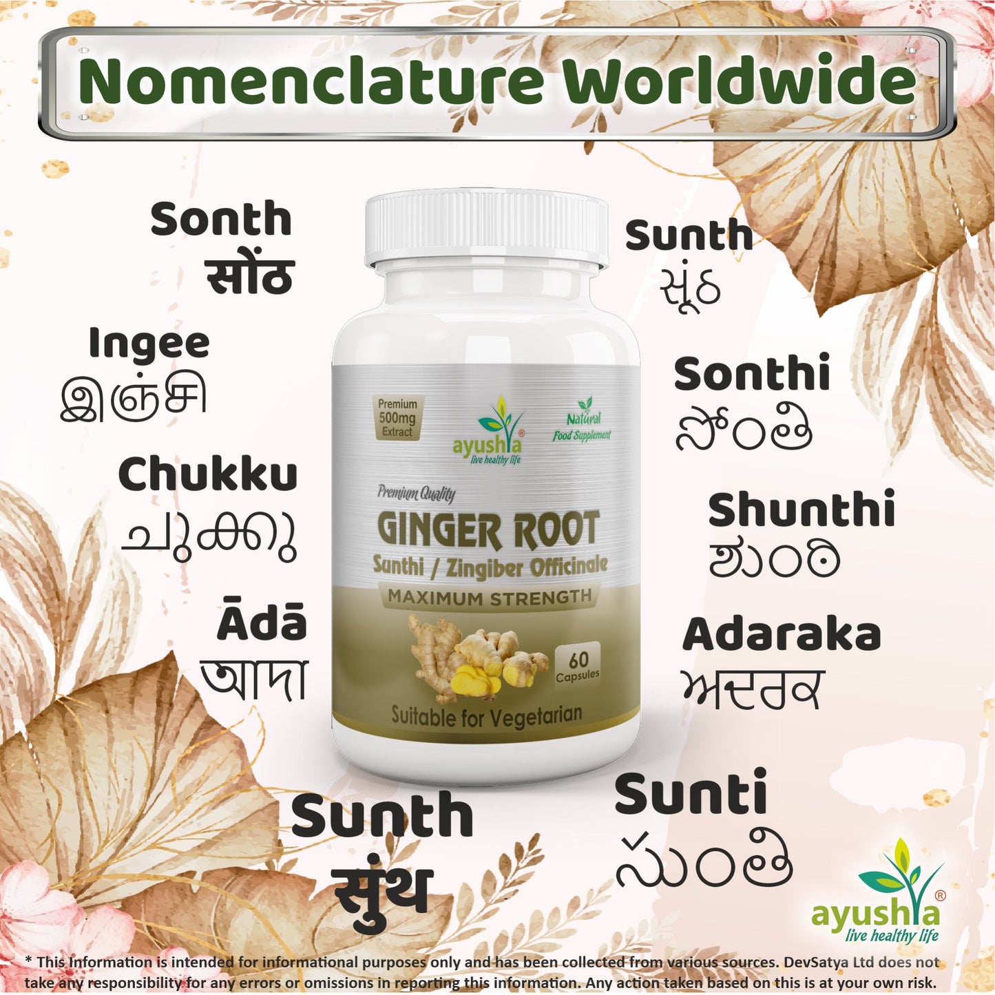 Ginger Root (Sunthi) Capsule-3