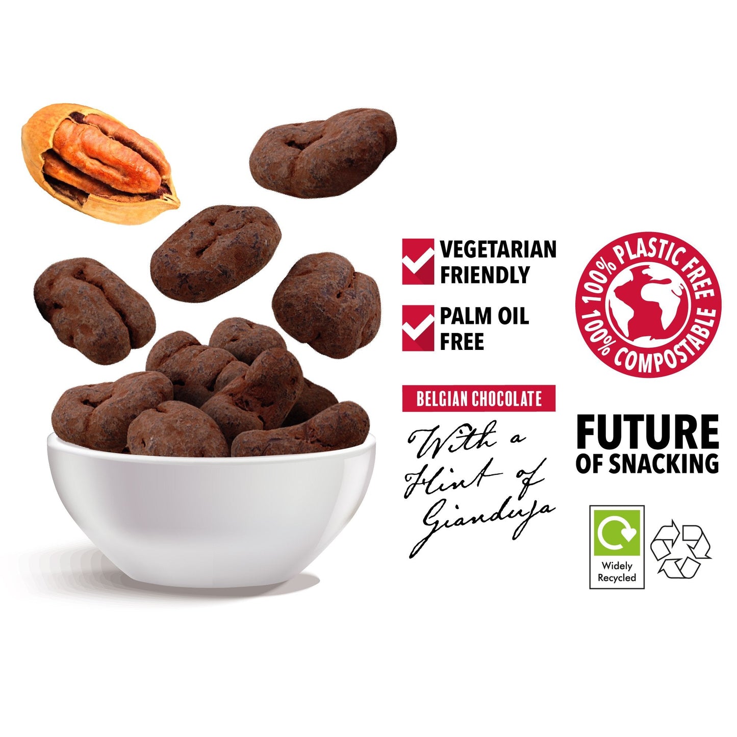 Cocoa Dusted Milk Chocolate Caramelised Pecans with a Hint of Gianduja (Pack of 10 x 55g)-1