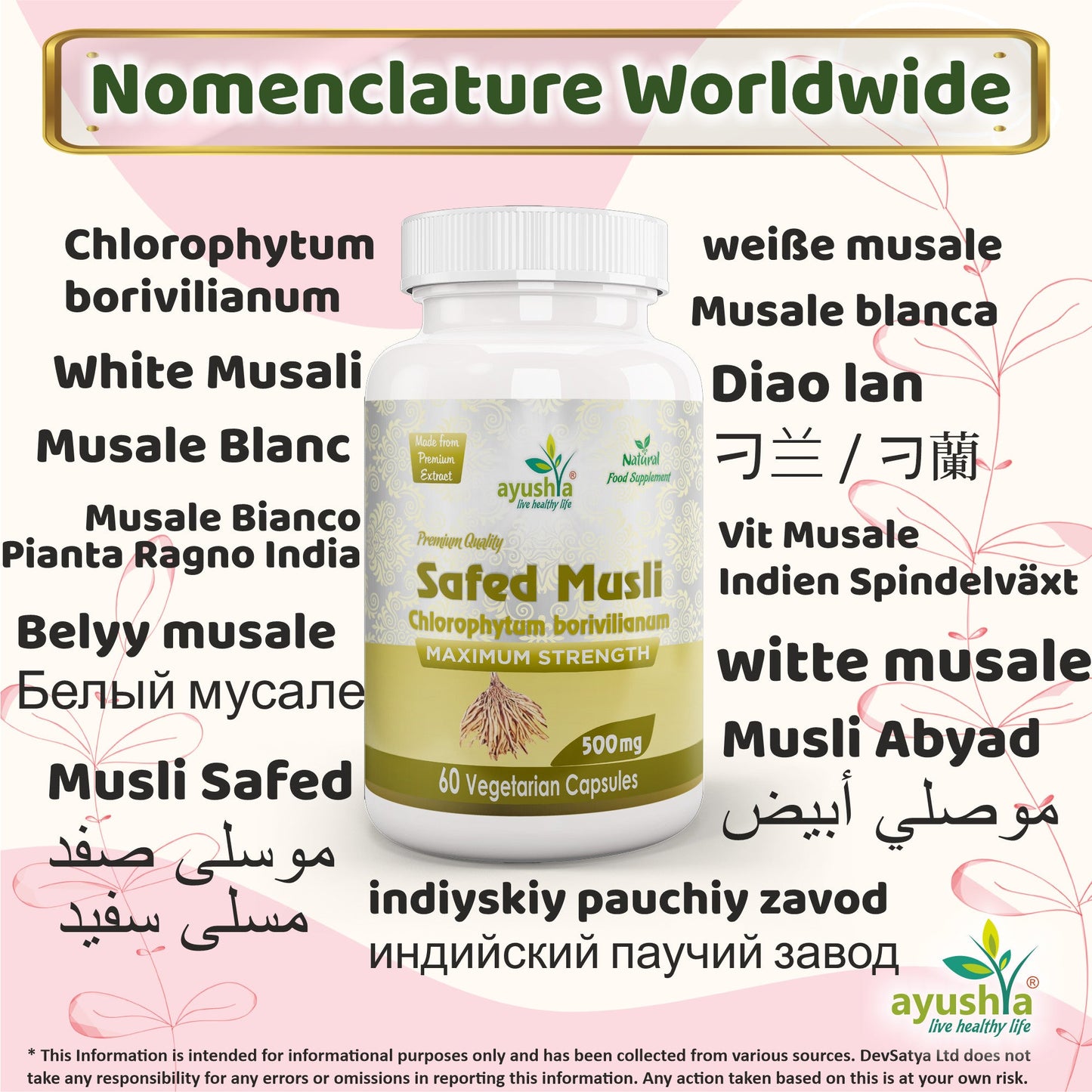 Safed Musli Capsule (Chlorophytum Borivilianum)-2