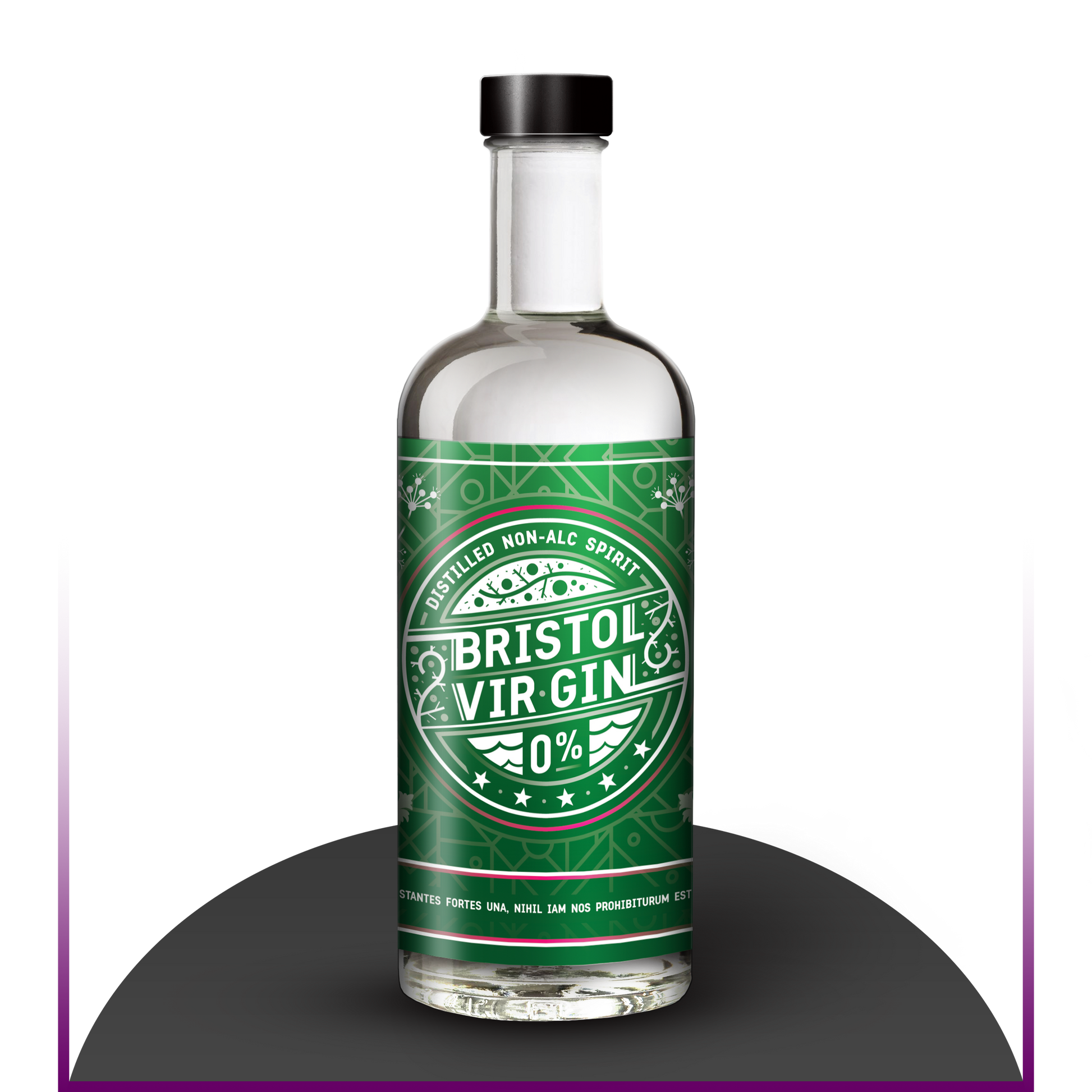 Bristol Vir-Gin 70cl-0
