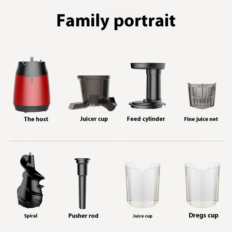 Nutrient-Rich Low Speed Juicer for Fruits and Vegetables-2
