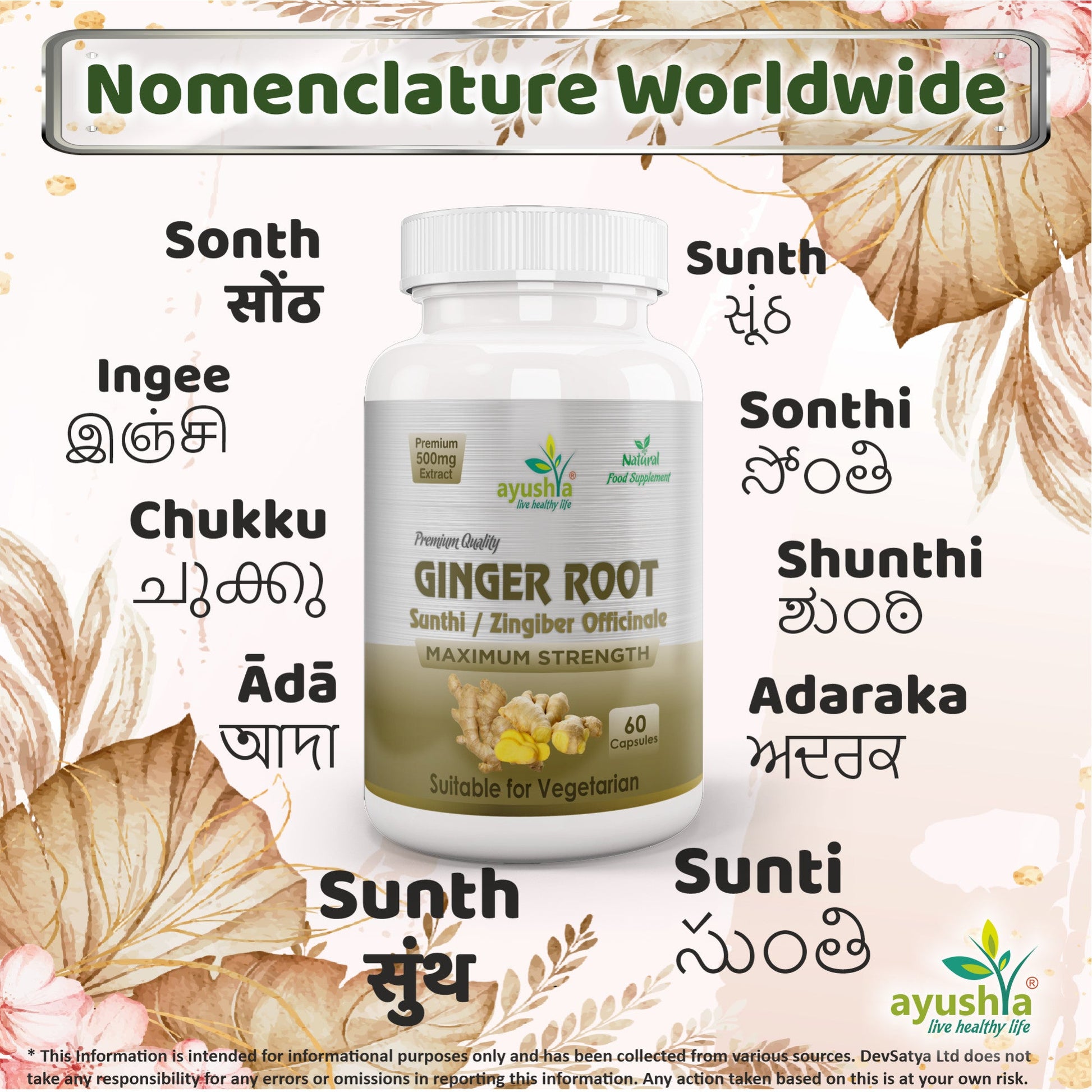Ginger Root (Sunthi) Capsule-3