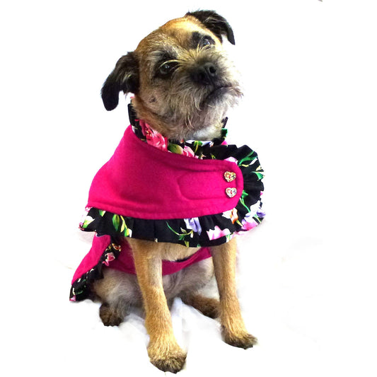 Prediletto Pet Couture Bundle-0